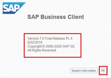 sap business client download.